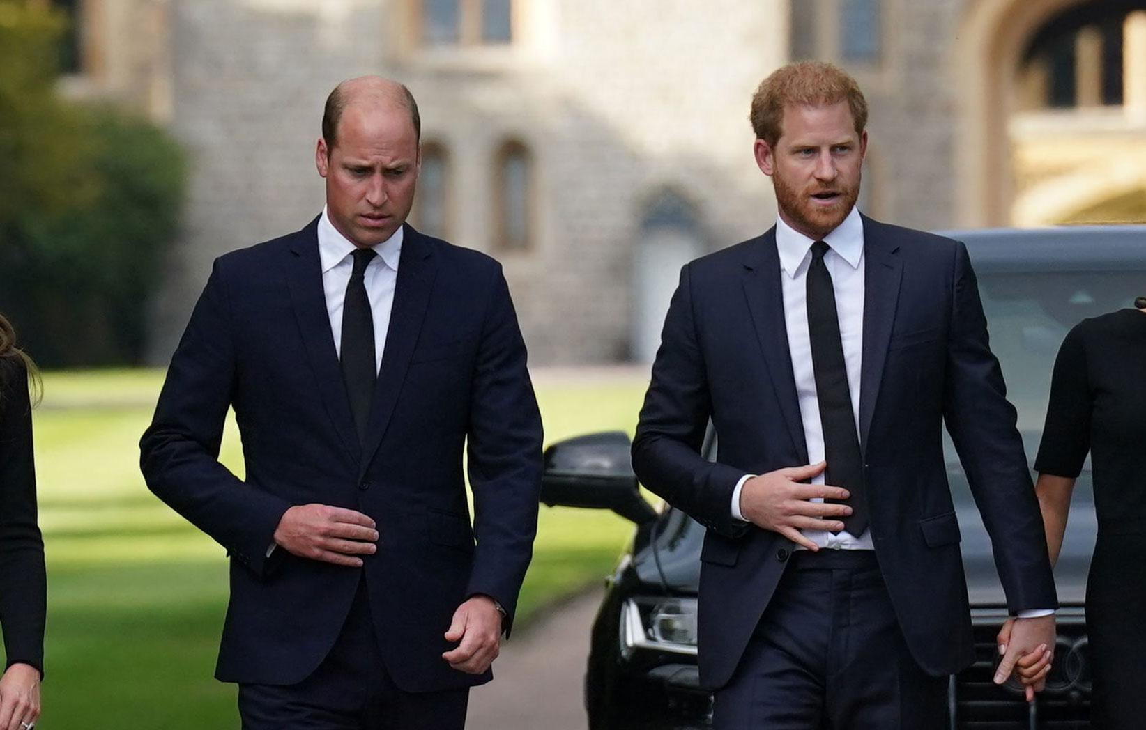 prince harry reveals he excluded stories about prince william from book