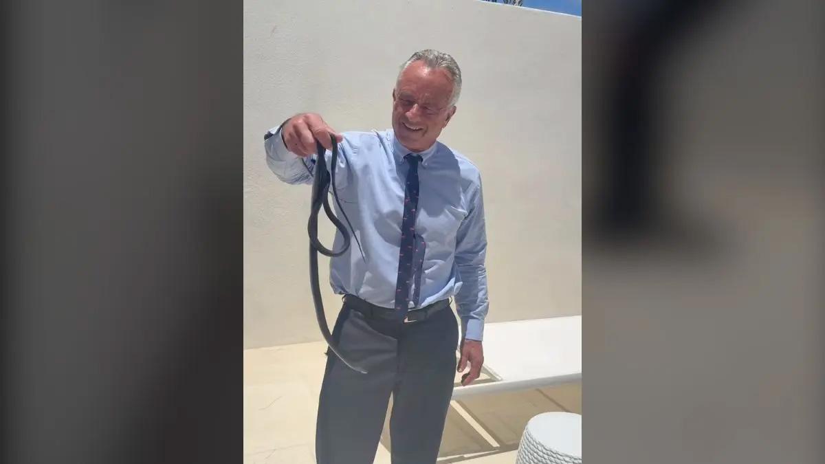 Image of RFK Jr recently went viral for wrangling snakes bare-handed.