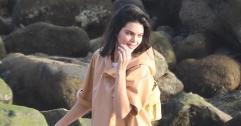 Kendall jenner photoshoot puppy feature