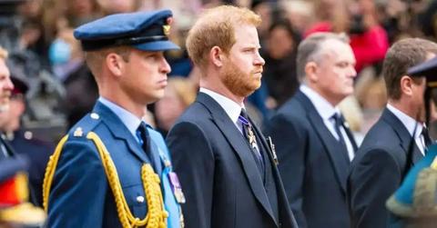 Photo of Prince Harry and Prince William