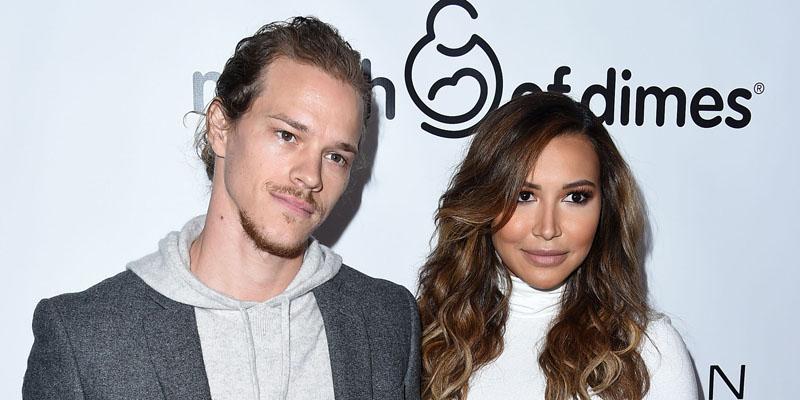 Naya rivera custody agreement