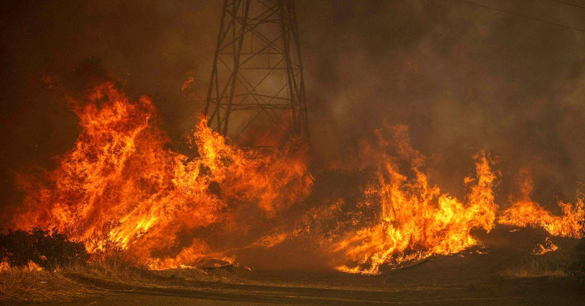 gavin newsom mocked giving awkward smile dance interview la wildfires