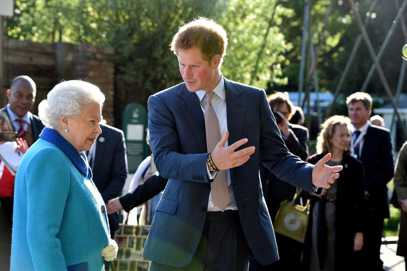 meghan markle prince harry engaged tea queen 02