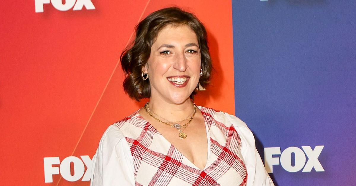 Big Bang's' Mayim Bialik's divorce from Michael Stone finalized - Los  Angeles Times