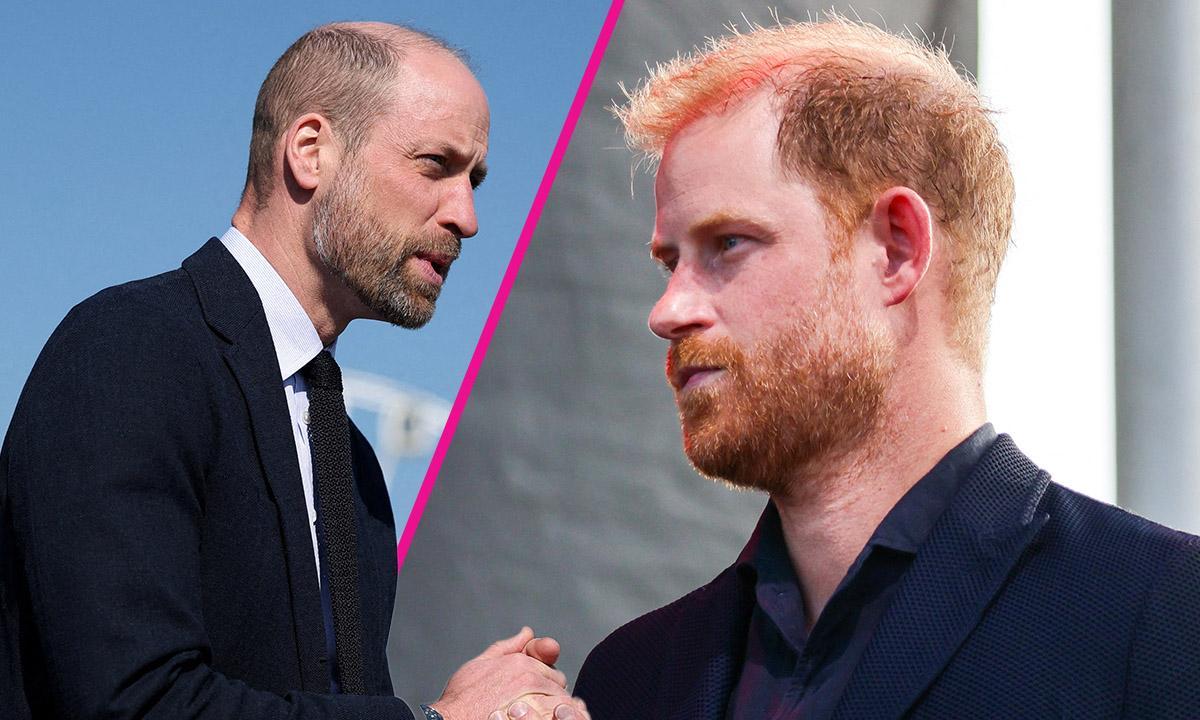 Prince William.,Prince Harry