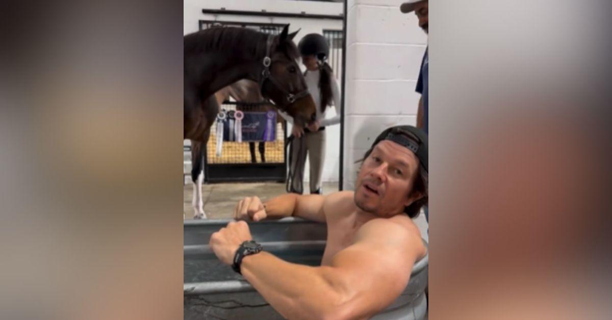 mark wahlberg