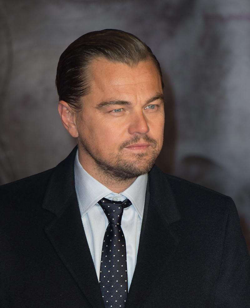 leonardo dicaprio nina adgal engaged rumors