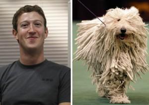 2011__01__Mark_Zuckerberg_Jan26newsnea 300×211.jpg