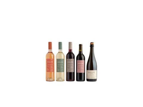 mothers day gift guide