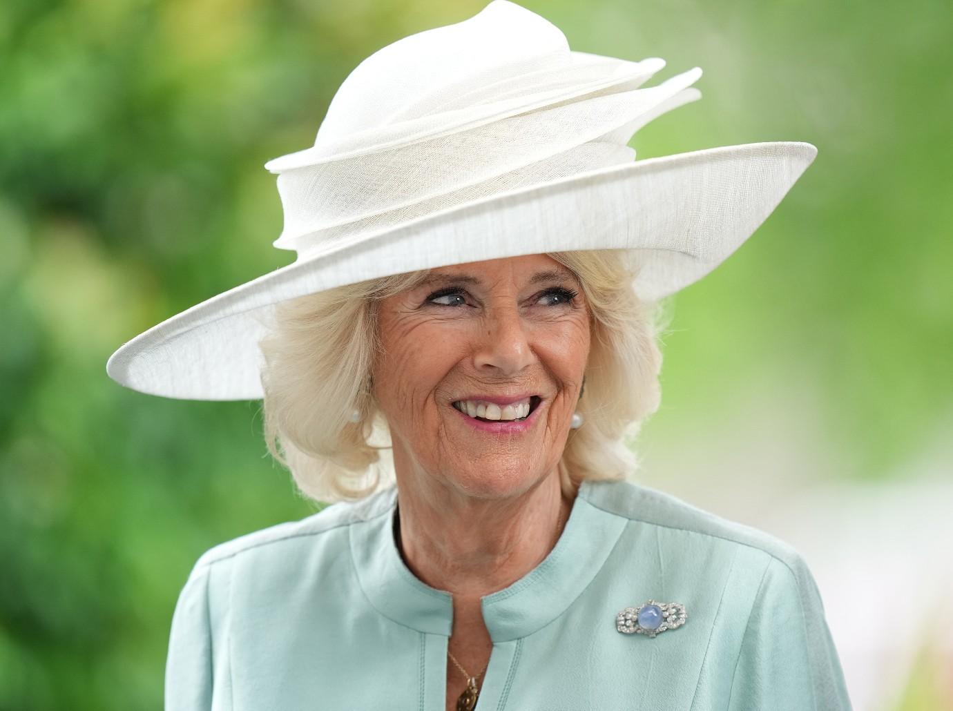 queen camilla told king charles prince harry meghan markle uncomfortable