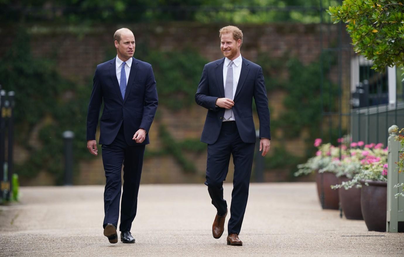 prince harry feels prince william doesnt resemble princess diana