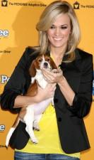 2010__03__carrieunderwood 133×225.jpg