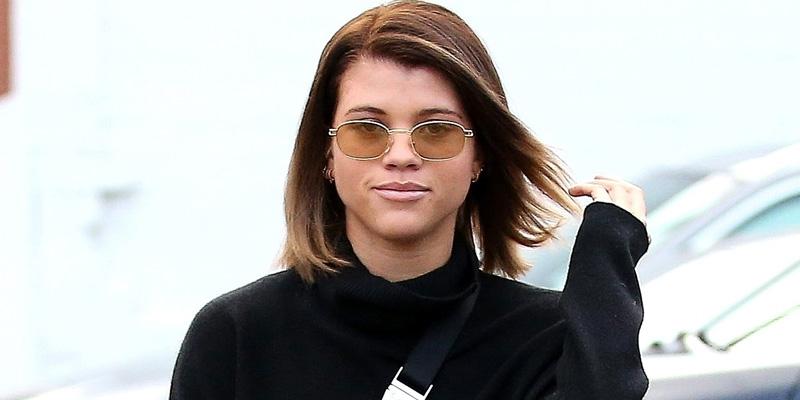 Sofia richie hair color