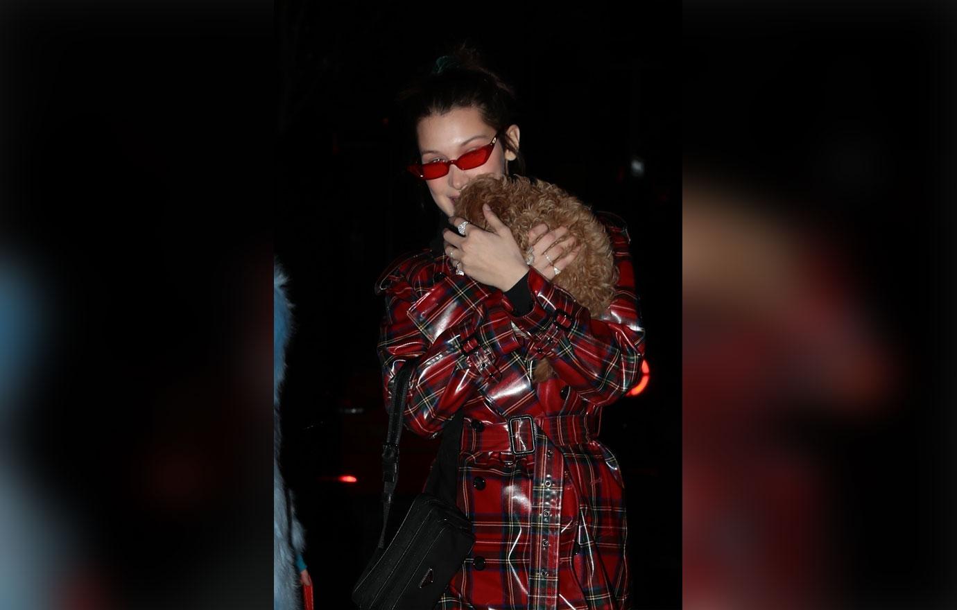 Bella Hadid cuddles a tiny puppy dog in NYC