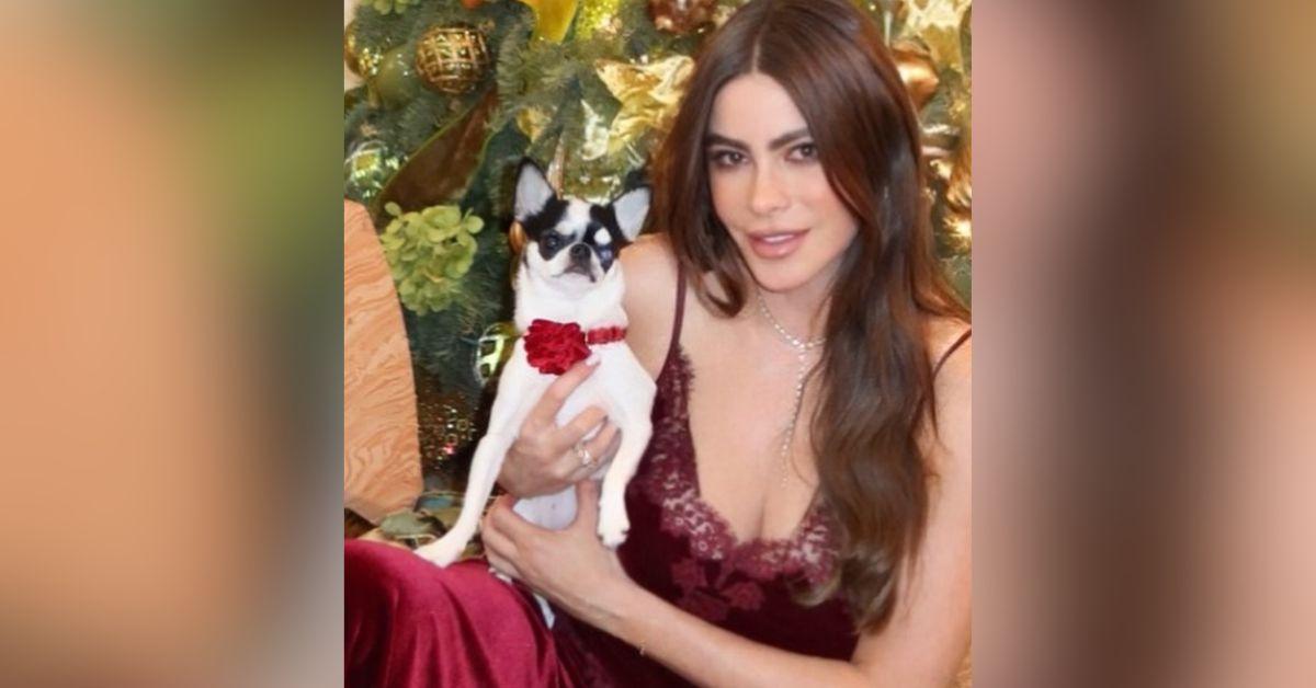 Image of Sofía Vergara finalized her divorce from Joe Manganiello in 2023.