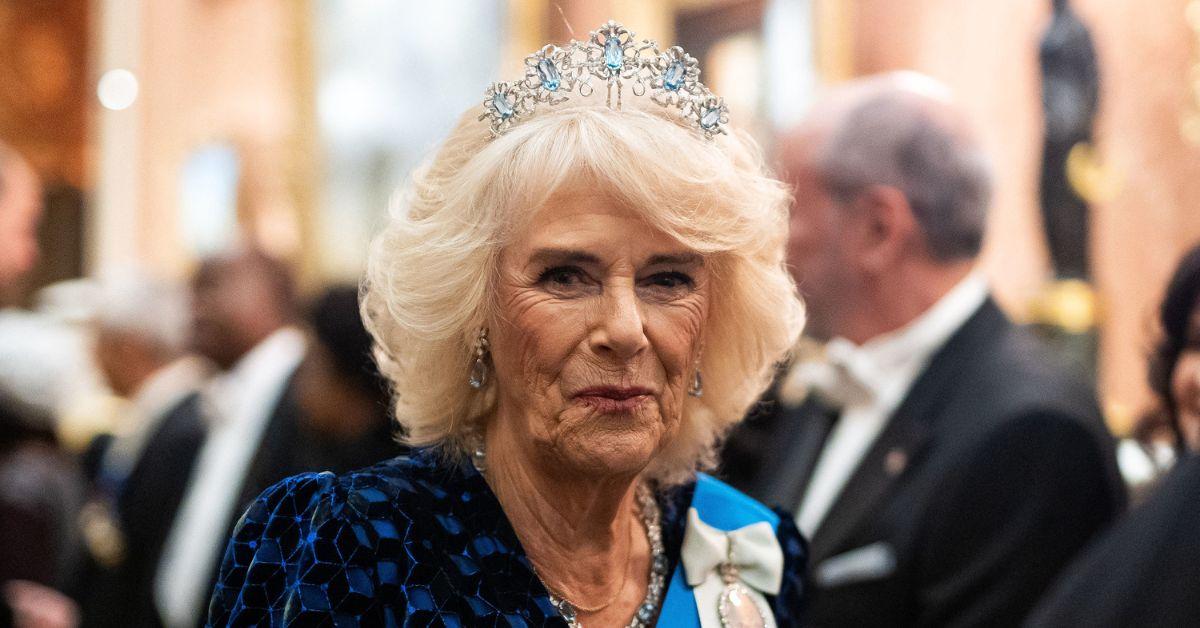 queen camilla son debunks conspiracy theory chest infection