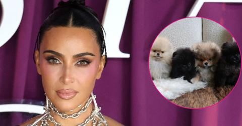 kim kardashian peta criticizes christmas gift