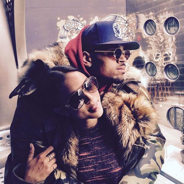 Chris brown karrueche tran attacked peta 02