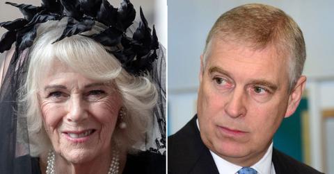 Photo of Queen Camilla and Prince Andrew