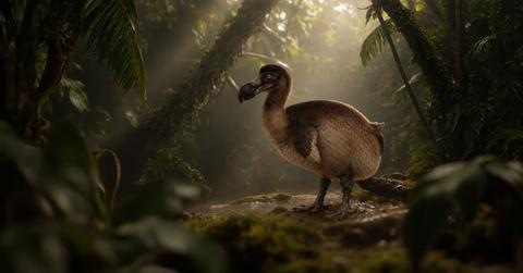 the dodo is getting a hollywood glow up and the a list is footing the bill