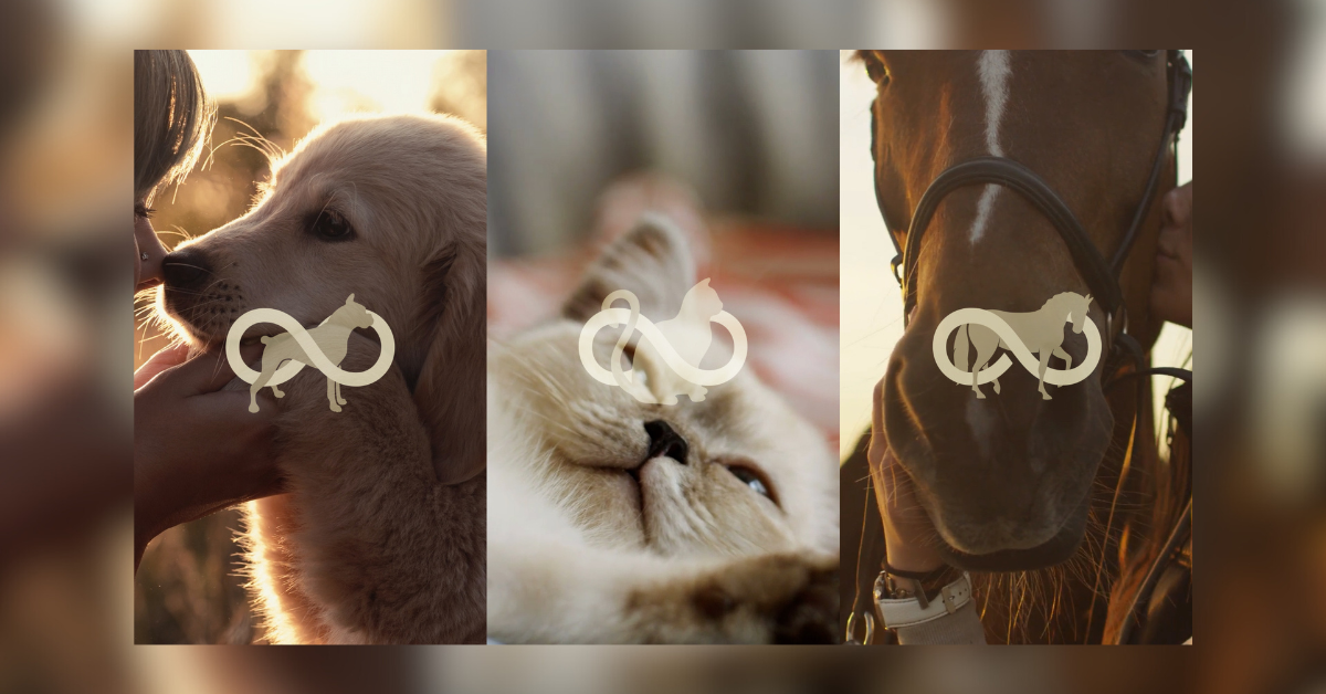 cloners get colossal inside the mega merger that will change the planet