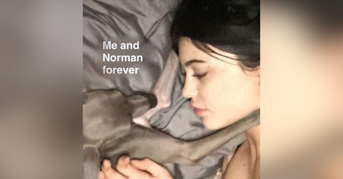 Photo of Kylie Jenner