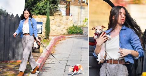 scout willis spotted running errands walking dog photos pp