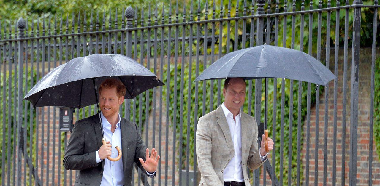 princess diana family working hard push prince harry prince william reconcile