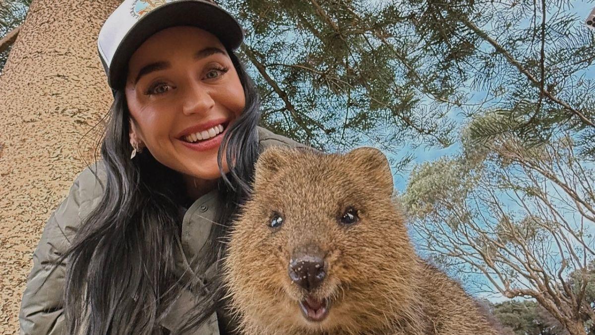 Photo of Katy Perry's rep called Ruby Rose's claims 'reckless lies.'