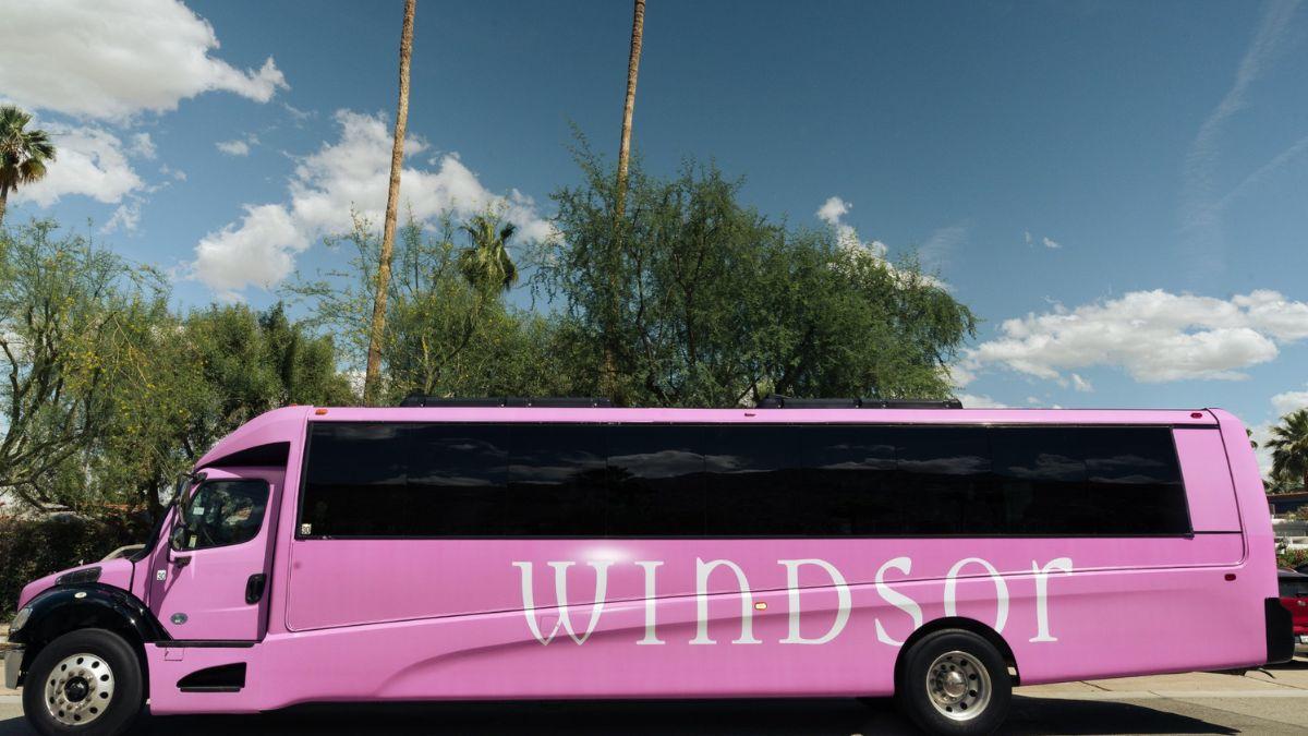 windsor
