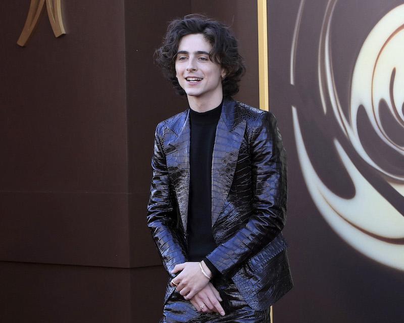 timothee chalamat kylie jenner