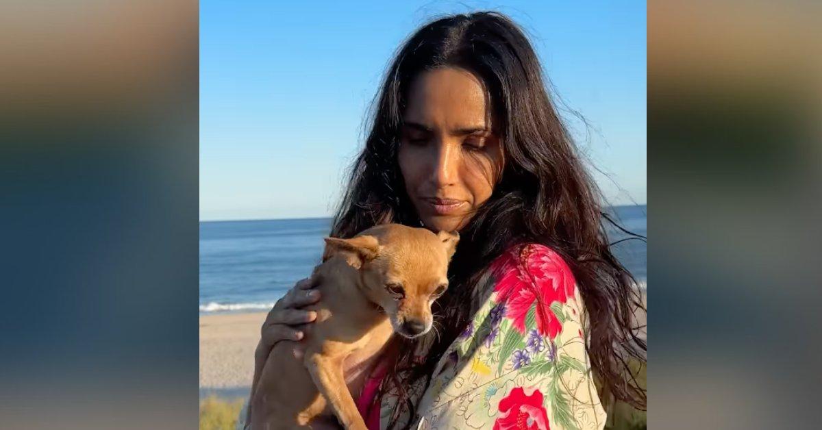 Image of the chef laughed when she started howling with dog near the beach.