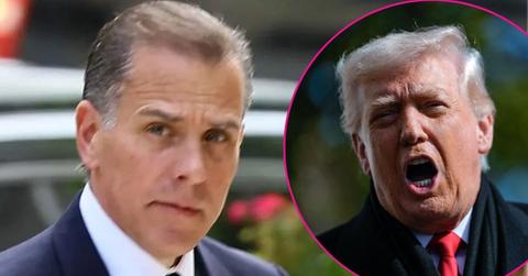 Photo of Hunter Biden and Donald Trump
