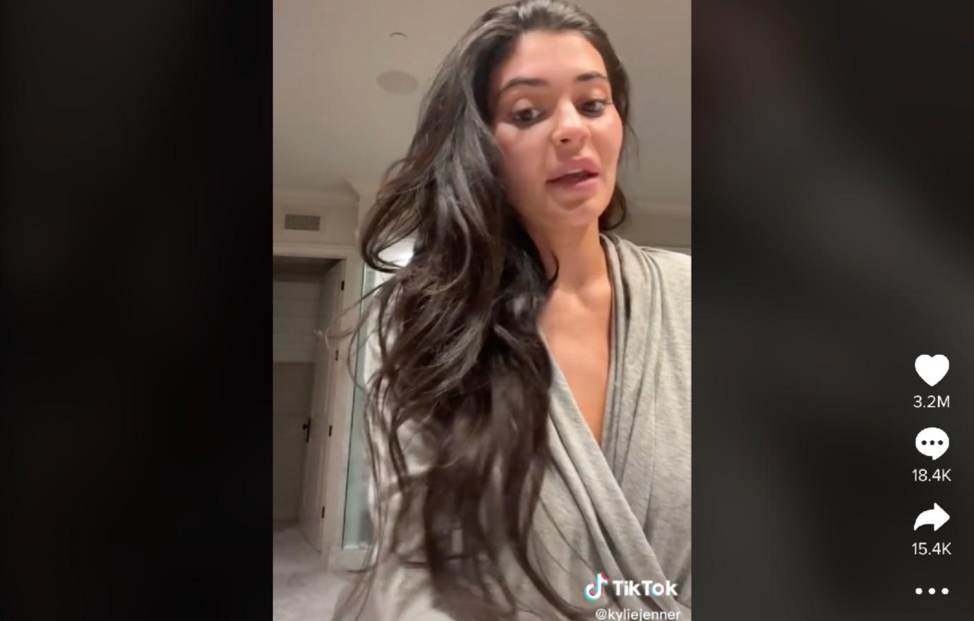 Buzz Off! Kylie Jenner Battles 'Giant Fly' In Viral TikTok