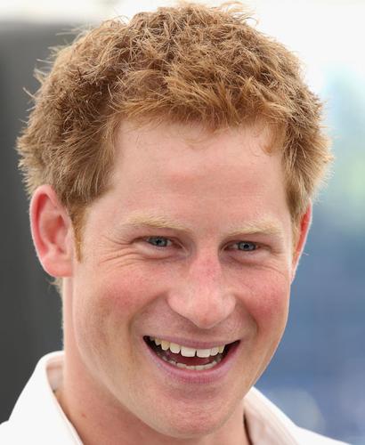 The 5 Celebs We'd Set Prince Harry Up With—If We Could!