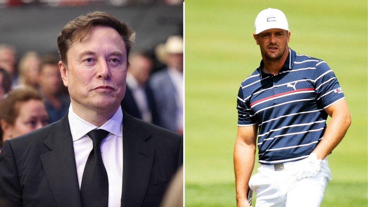 Image of The professional golfer praised Elon Musk.