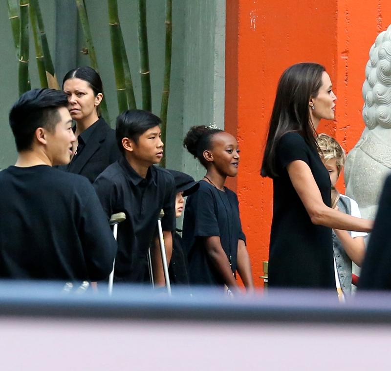 Angelina Jolie and her family on the red carpet at the Kung Fu Panda 3 premiere in Hollywood.