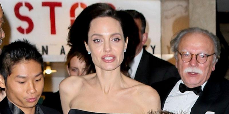 Angelina jolie kids