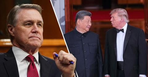 David Perdue, Xi Jinping and Donald Trump