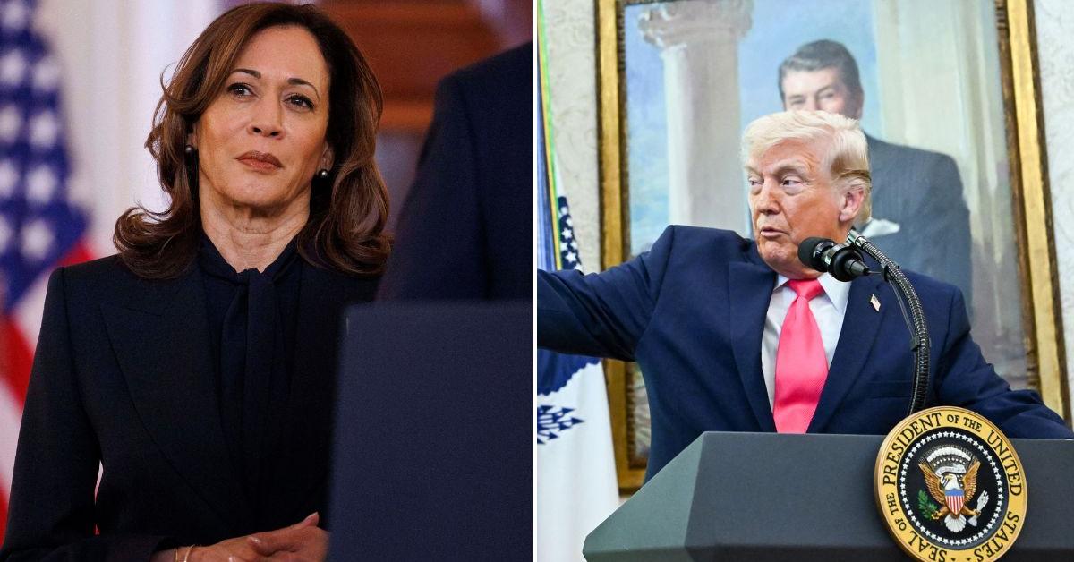 Donald Trump Says He Wants to Give Kamala Harris an 'IQ Test' in Odd Remark