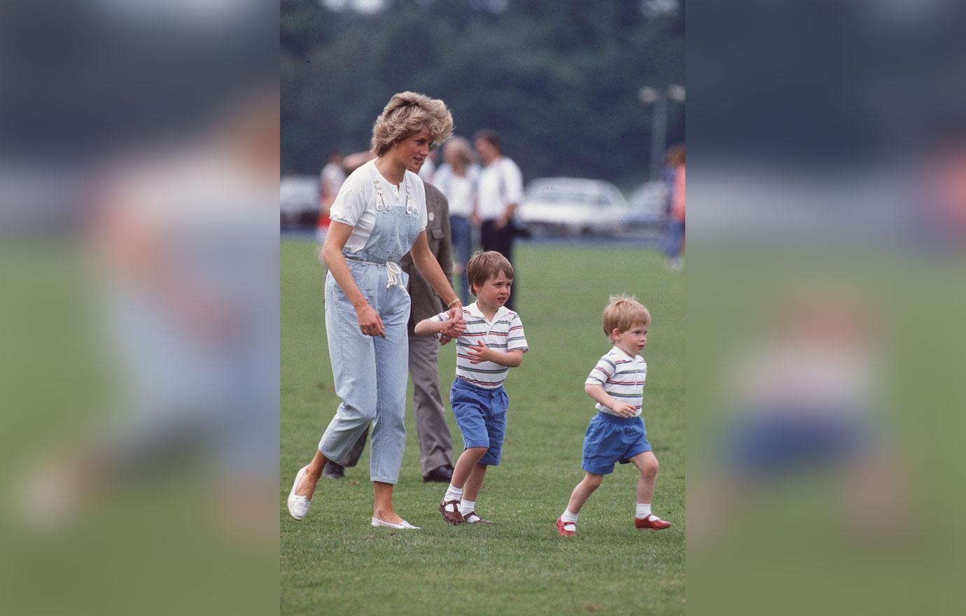 princess diana would be infuriated by prince william prince harrys long standing feud biographer spills