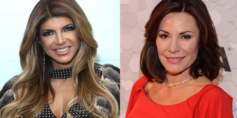 Teresa Giudice Luann de Lesseps divorce