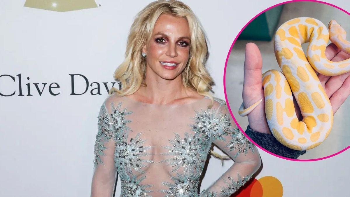 image of Britney Spears