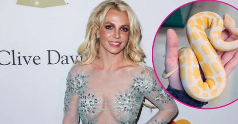 image of Britney Spears