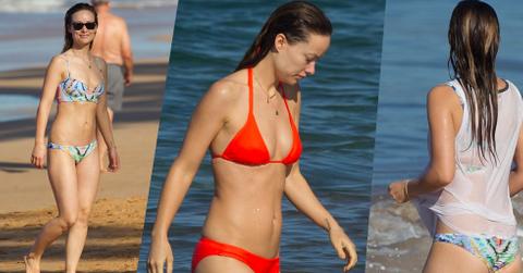 olivia wilde bikini body