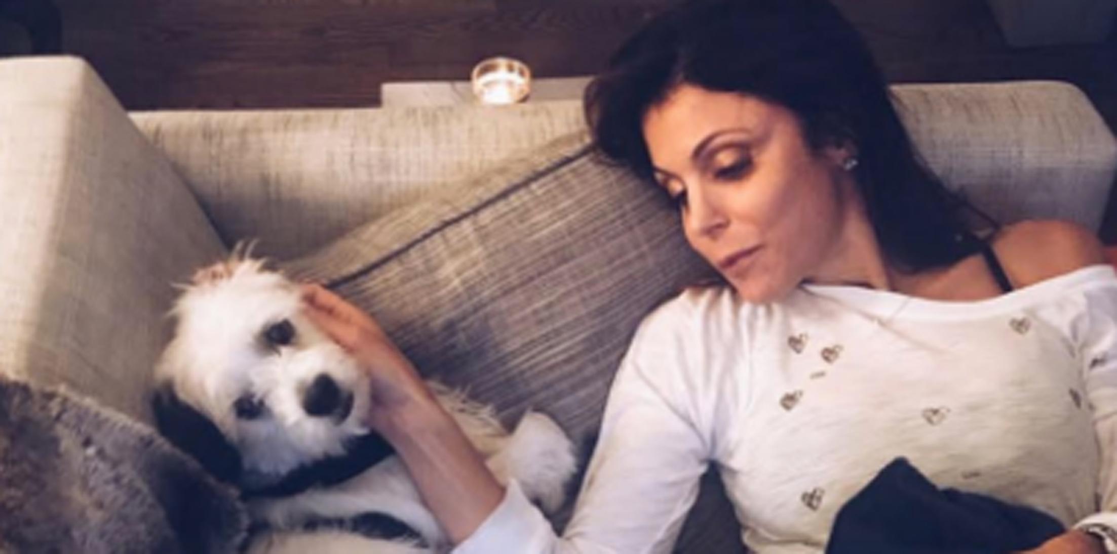 Bethenny frankel breaks down instagram dog seizure hero