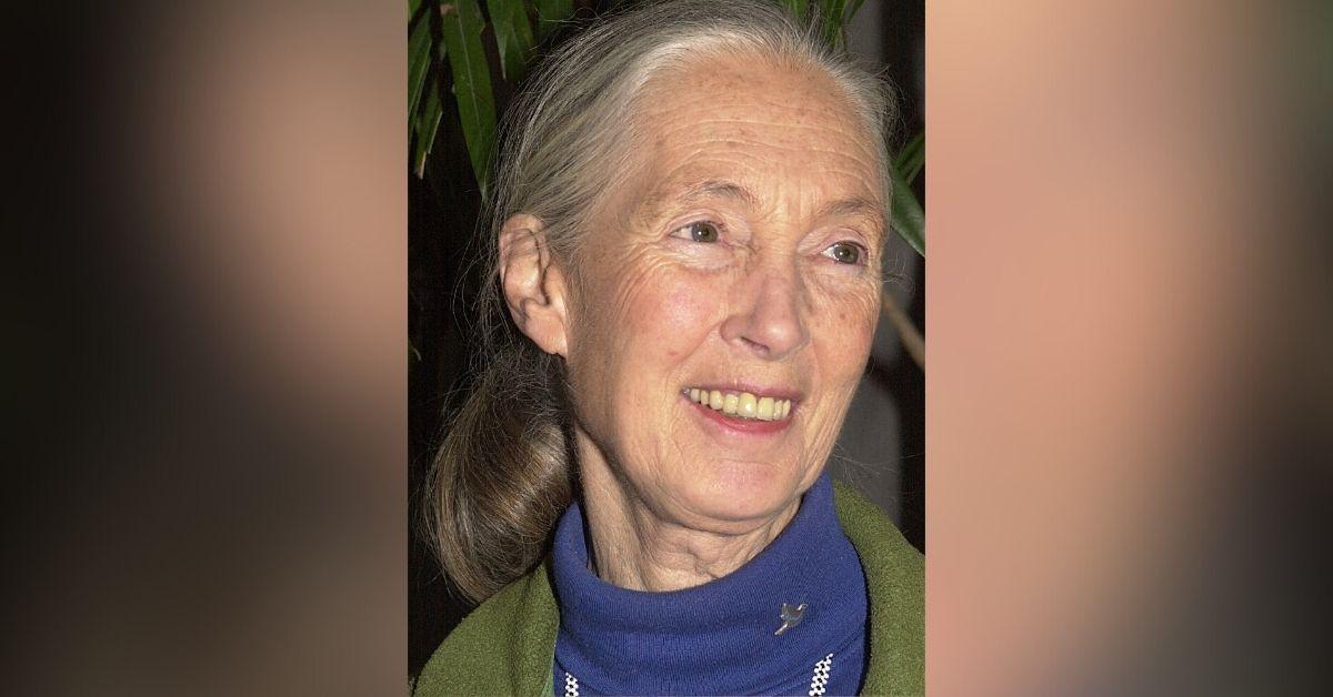 jane goodall life in photos animal welfare activist dead at