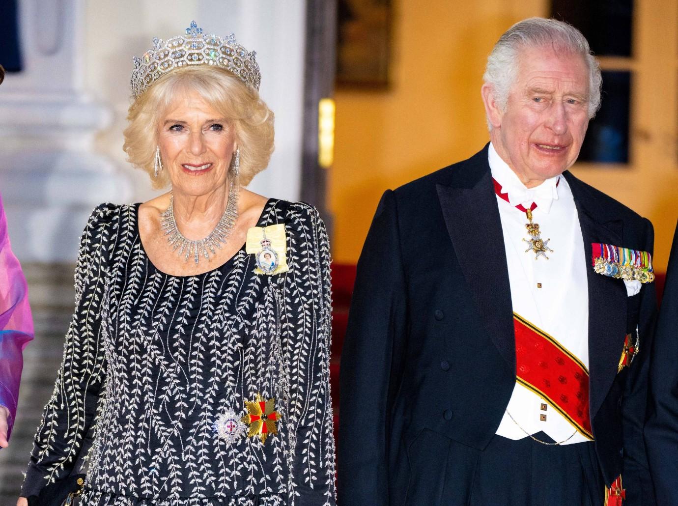 Queen Consort Camilla Wants Her Kids To Be Stars Of The Royal Family