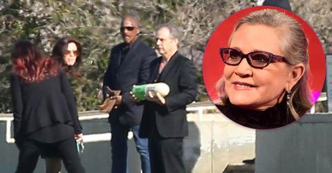 Carrie fisher ashes prozac pill 07