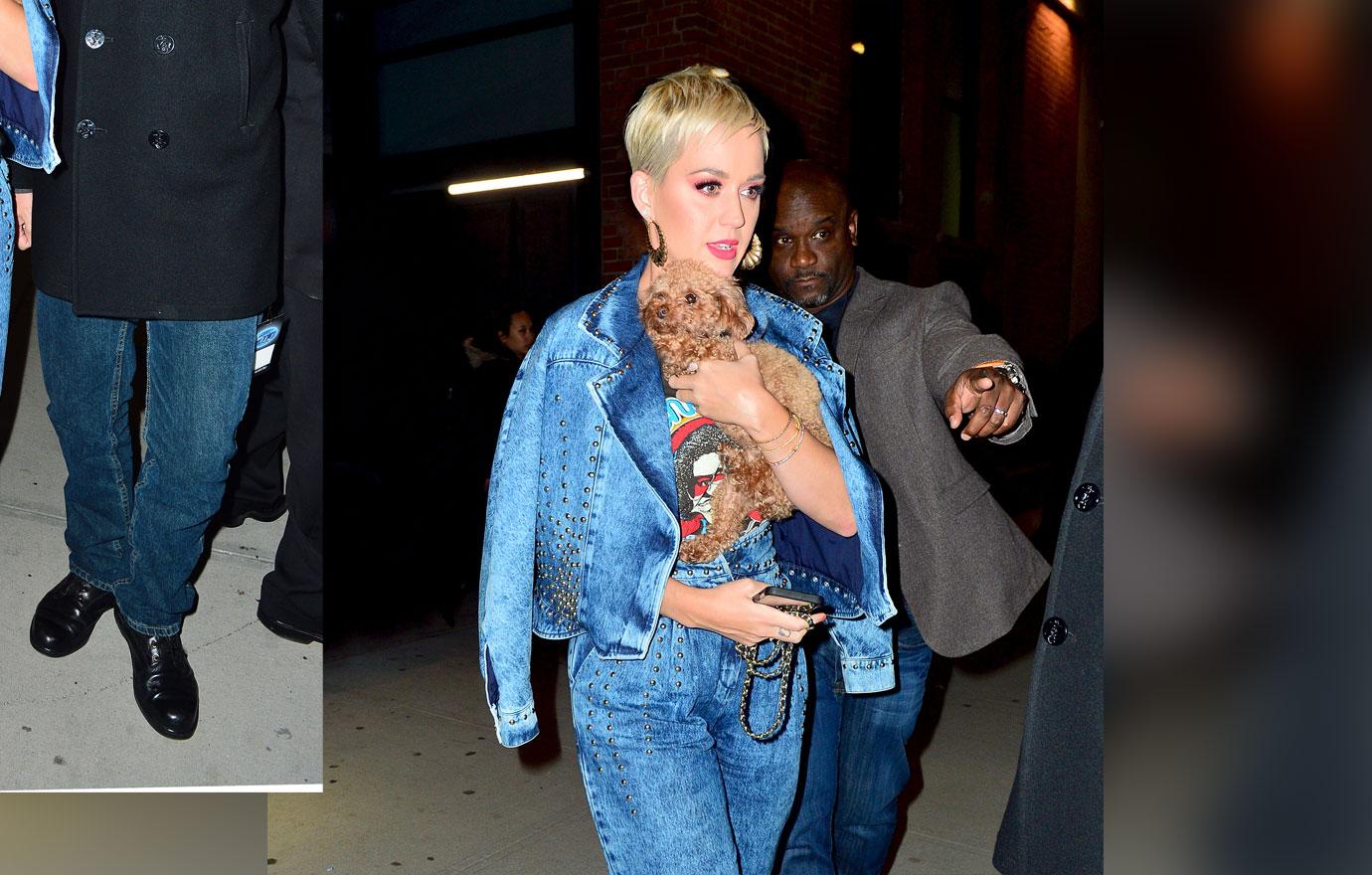 Katy Perry looks striking in denim as she leaves American Idol with her puppy in NYC